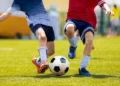 harmonicode sport