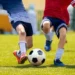 harmonicode sport