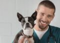 ветеринарная клиника vetcitypets