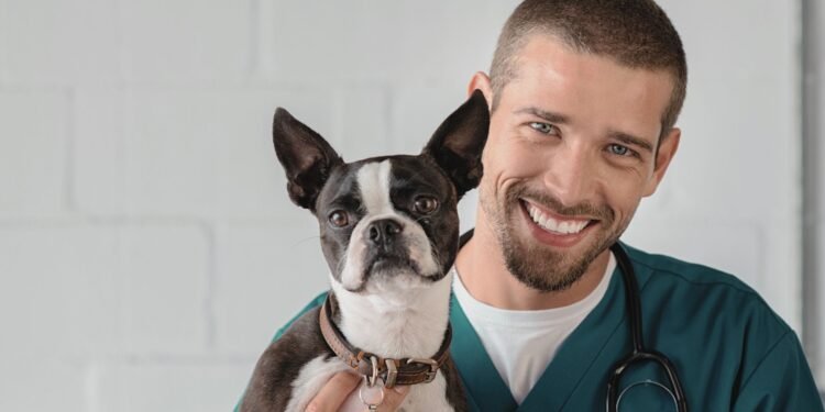 ветеринарная клиника vetcitypets