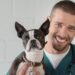 ветеринарная клиника vetcitypets